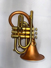 Taylor pocket flugelhorn - flugelhorn, phat
