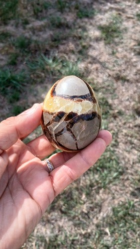 Septaria forme oeuf pierre - forme,