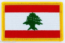 PATCH ECUSSON BRODE DRAPEAU