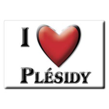 Aimant sur Plésidy, Côtes