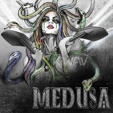 rétroviseurs aluminum CNC noir pour Suzuki GT250 GT380 GT550 GT750 T500