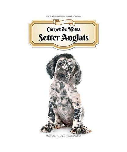 Carnet notes setter - carnet,