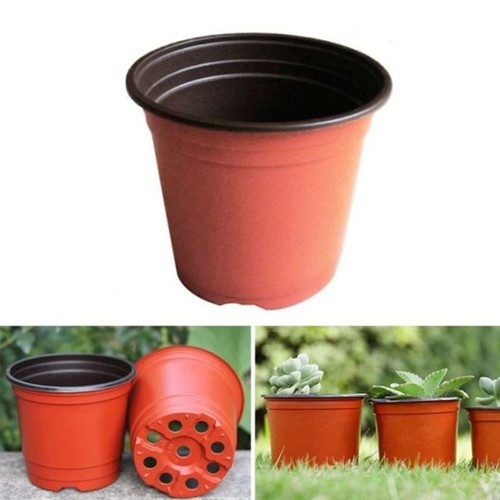 100pcs fleur pots pot - pots,