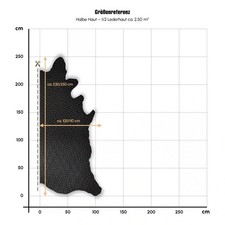 Cuir De Voiture Noir | MB