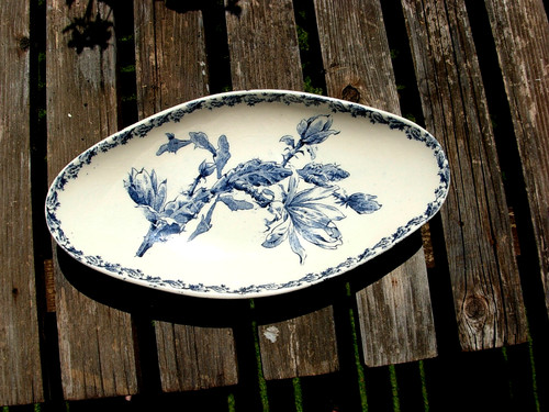 Beau ravier bleu - bleu, gien