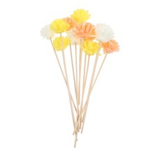  12 Pcs Baton Diffuseur Fleurs