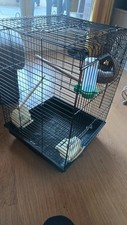 Grande cage pour - pour, &