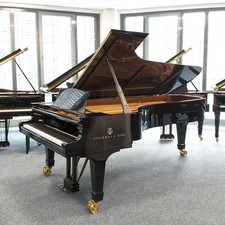 Steinway & Sons Aile, Modèle