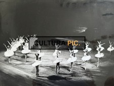 Vintage Original B&W Photo, Ballet Performing the Swan Lake - XXL