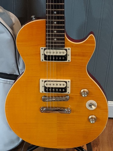Epiphone slash afd les - slash,