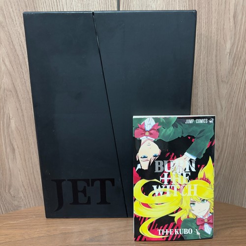 Bleach art book illustration - bleach,