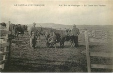 LE CANTAL PITTORESQUE  la traite des vaches