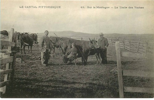 Cantal pittoresque la - ,