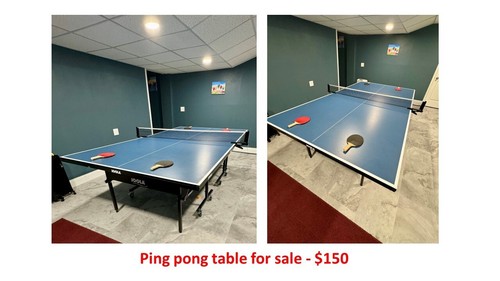 Ping pong table excellent - pong, in