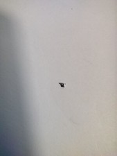 ETA 2894/2892-VIS DE BRIDE DE