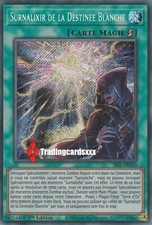 ♦Yu-Gi-Oh!♦ Surnalixir de la Destinée Blanche : SESL-FR030