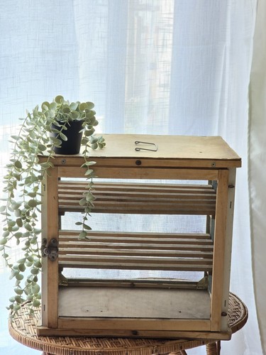 Garde manger cuisine bois - cuisine, en