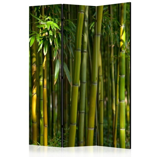 Paravent volets oriental - paravent, 3