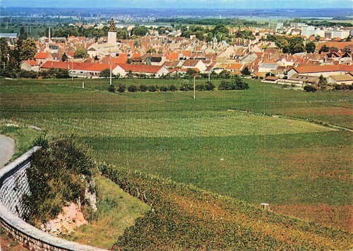 Nuits saint georges - 21,