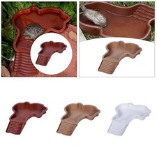 Bassin de bain pour reptiles