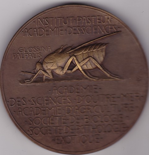 Superbe medaille professeur - medaille, e