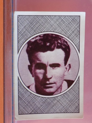 Vignette panini football - 79,