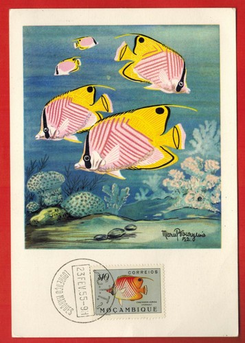 1955 fdc carte - carte, maximum