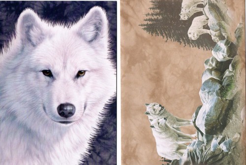 Carte chien loup - chien,