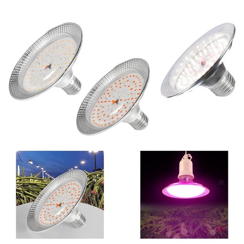 Lampe croissance led - croissance,