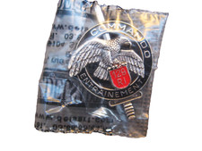 BREVET DES COMMANDOS DU CEC DU