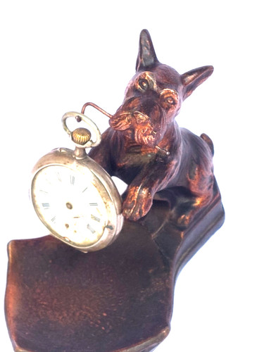 Très élégant chien - élégant, fox