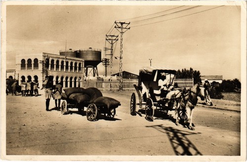 Djibouti voiture cheval - voiture,