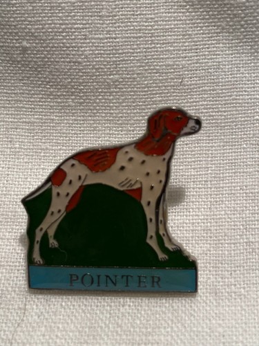 Pin chien pointer - chien,