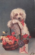 CPA FANTAISIE / CHIEN / TYPE CANICHE / BONNE ANNEE