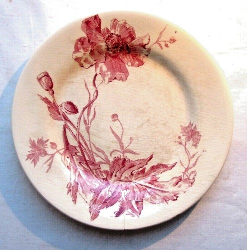 Rare assiette art - rare, nouveau