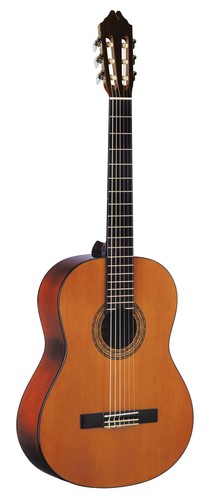 Washburn classical acoustic - c5,
