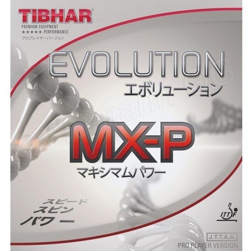 Tibhar evolution - tibhar,