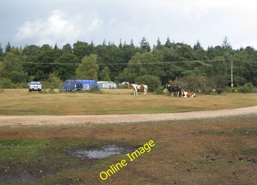 Photo 6x4 ponies and - photo, tents