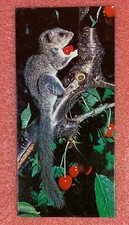 Carte MERVEILLES DU MONDE