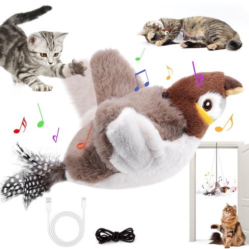 Oiseau pour chat jouet - pour,