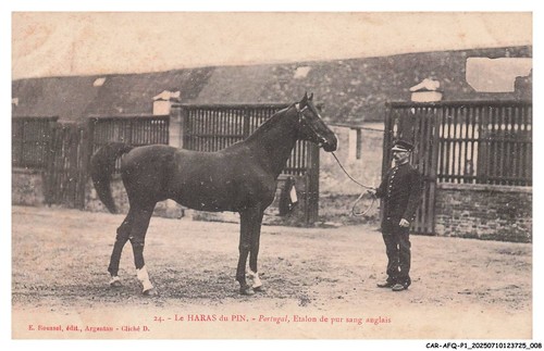 Car afqp1 0005 le - -, haras