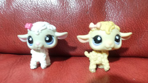 Lot moutons petshop - moutons,