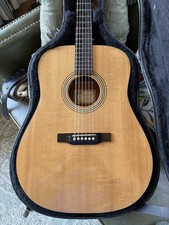 Larrivee D 02 Acoustic