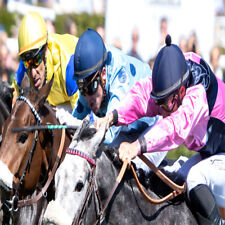 Méthode de TURF:  COUGALT  de Thierry Lammens (Trio) (Egra, Courses, PMU)