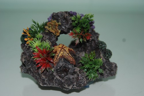 Aquarium récif rock - aquarium,