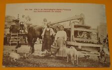CPA CARTE POSTALE 1920-1930 YONNE VIE A LA CAMPAGNE FABRICATION CIDRE PRESSOIR