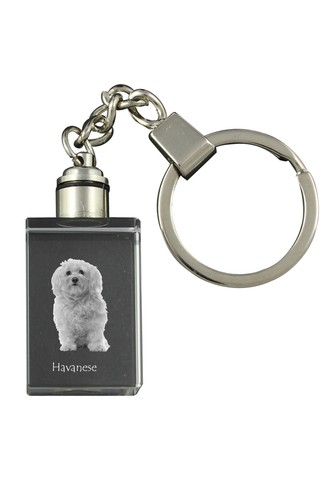Bichon havanais porte clés - havanais, porte-clés