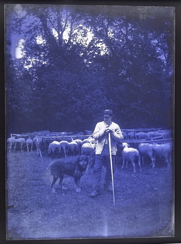 Berger avec son troupeau c1880