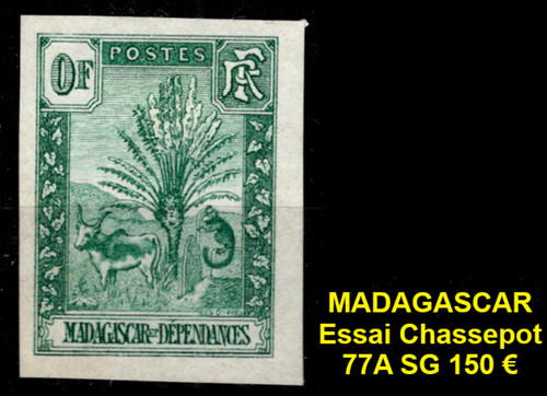 Madagascar essai chassepot - madagascar,