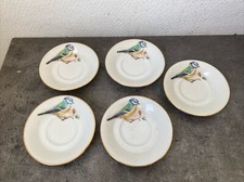 5 Sous Tasses Mésange Oiseau